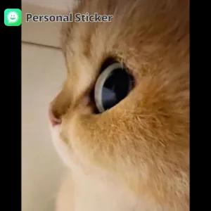 Personal Sticker - getsticker.com
