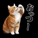 生成失敗猫【毒舌・煽り・煽る・シュール】