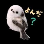 とってもかわいい♡シマエナガちゃん