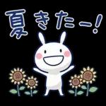 毎日使える夏☆ほぼ白うさぎ