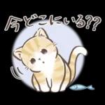 毎日使える♡大人可愛いガーリーキャット2