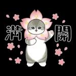 あけおめにゃん午