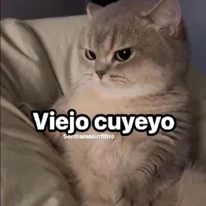 Viejo cuyeyo Sermamasinfiltro - getsticker.com