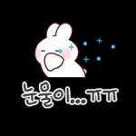 사랑뿜뿜 감사충만 토린이