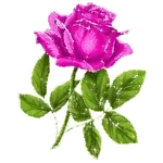 밤에 듣기 좋은 이야기