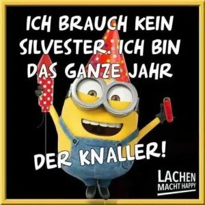 ICH BRAUCH KEIN SILVESTER. ICH BIN DAS GANZE JAHR DER KNALLER! - getsticker.com