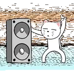 Festa e dança💃