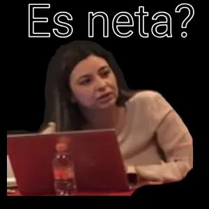 Es neta? - getsticker.com