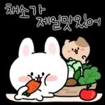 채식하는 토끼,비건이