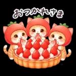 毎日使える 茶トラねこ 春 日常 いちご帽子