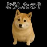 ガンギマリの柴犬＠エロ・日常会話