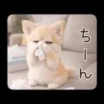 春のほんわかチワワ♡