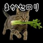 キジトラ猫飼いさんのダジャレ