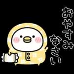 ちびトリ★冬の日常