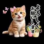 毎日使えるねこあいさつ
