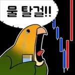 투자 전문가, 껄무새