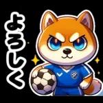 サッカー大好きな柴犬