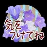 春✿明るい花で幸せ呼び込む✿やさしい声かけ