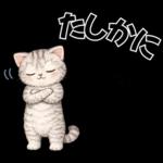 うり坊のもふもふ日常スタンプ