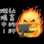 陰陽怪氣的小鴨鴨