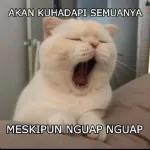 confirm eh?
