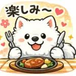 超かわいいサモエド犬の日常 普段使いに！