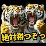 大阪神戸の野球好き虎ファン向け5とらほー