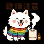 サモエドとぬくぬく日和