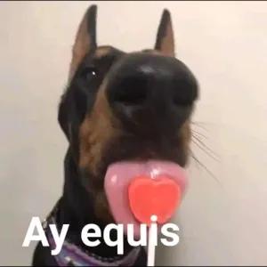 Ay equis - getsticker.com