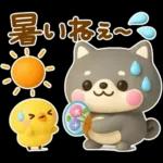夏にかわいい♡豆柴日和