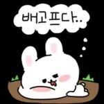 채식하는 토끼,비건이