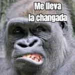 changos