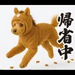 ウマの着ぐるみトイプードル【午年/2026】