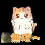 ぽかぽか春ねこライフ