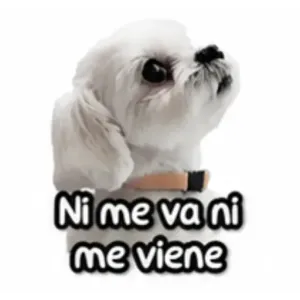 Ni me va ni me viene - getsticker.com