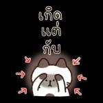 บิสเก็ต & เพื่อนๆ