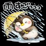 ぺんちゃんと梅雨じかん
