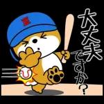 飛び出す！豆柴「野球と日常」