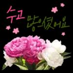 꽃으로 전하는 마음, 감사톡