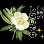 毎日使える やさしいお花の挨拶スタンプ