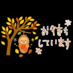 大人かわいい✳︎優しい秋色&気遣い