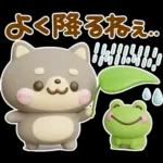 夏にかわいい♡豆柴日和