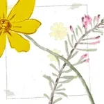 작은 행복으로 가득하길 바랍니다 ✨