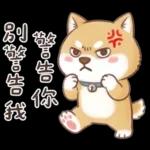 柴犬可愛諧音梗
