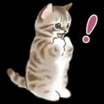 ふんわり可愛い☆猫たちのスタンプ