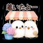梅雨と夏のやさしい気遣い言葉♡シマエナガ
