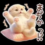 冬の猫のスコティッシュ【よく使う言葉】