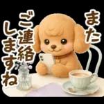 トイプードルの夏と梅雨のお天気カフェ
