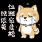 柴犬可愛諧音梗