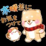 シマエナガといやしばいぬ❤️春/柴犬敬語